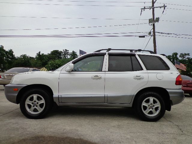Hyundai Santa Fe 2003 photo 2