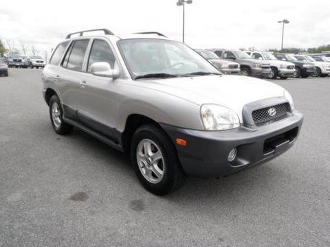 Hyundai Santa Fe 2003 photo 1