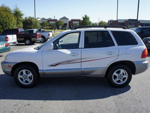 Hyundai Santa Fe 2003 photo 1