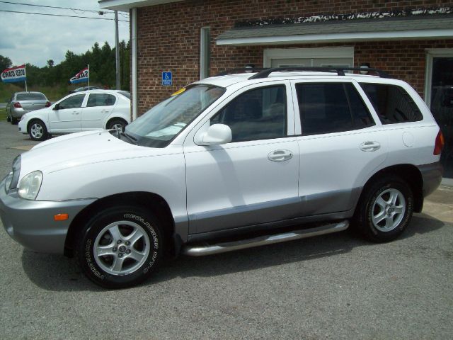 Hyundai Santa Fe 2003 photo 4