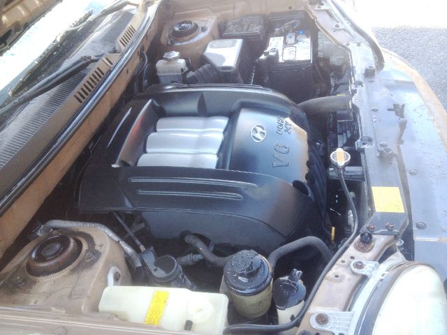 Hyundai Santa Fe 2003 photo 1