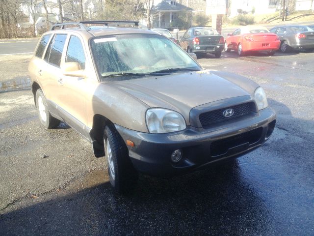 Hyundai Santa Fe 2003 photo 3