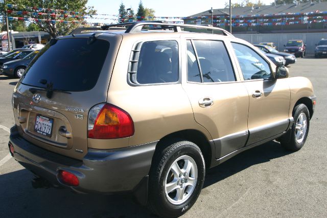 Hyundai Santa Fe 2003 photo 4