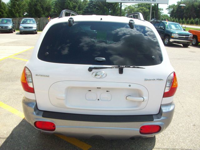 Hyundai Santa Fe 2004 photo 2