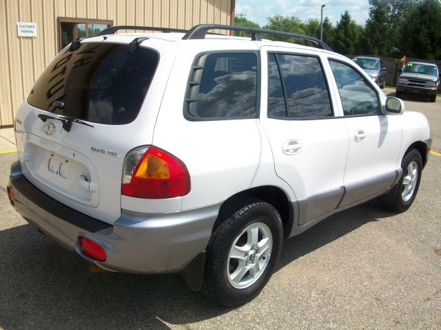 Hyundai Santa Fe 2004 photo 3