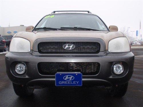 Hyundai Santa Fe 2004 photo 4