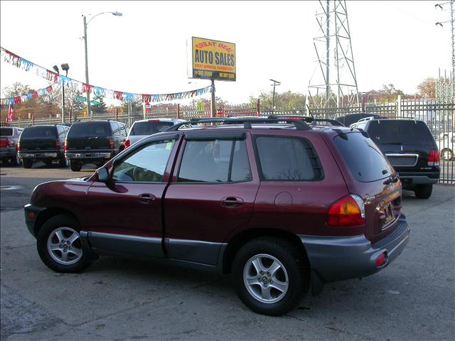 Hyundai Santa Fe 2004 photo 5