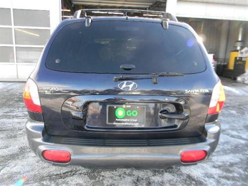 Hyundai Santa Fe 2004 photo 1