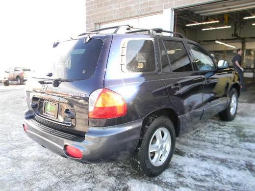 Hyundai Santa Fe 2004 photo 3