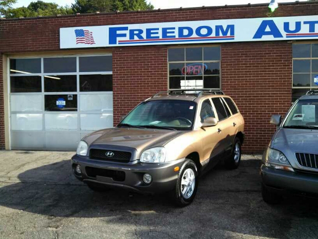 Hyundai Santa Fe 2004 photo 1