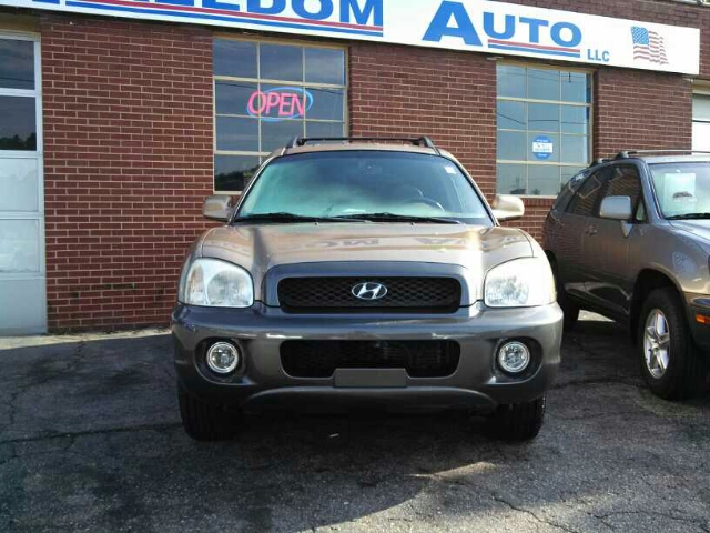 Hyundai Santa Fe 2004 photo 2