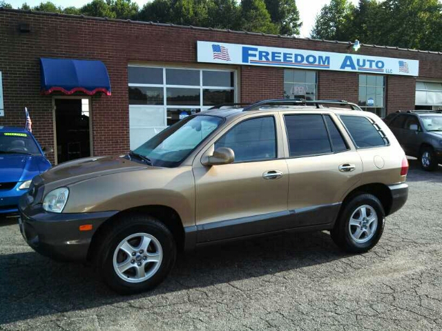Hyundai Santa Fe 2004 photo 3