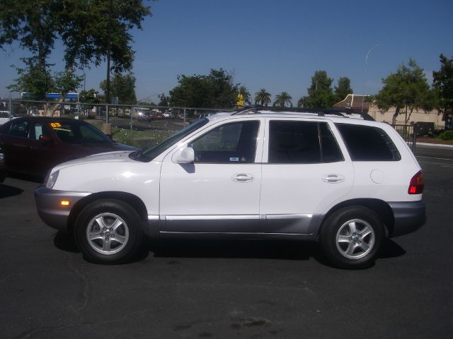 Hyundai Santa Fe 2004 photo 10