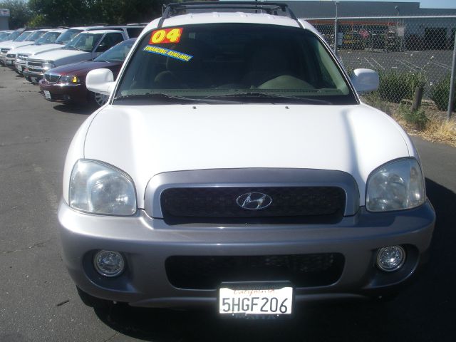 Hyundai Santa Fe 2004 photo 12