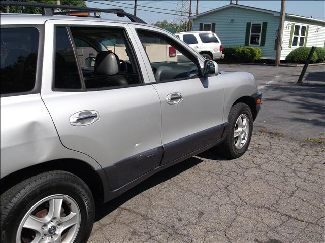 Hyundai Santa Fe 2004 photo 1