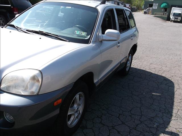 Hyundai Santa Fe 2004 photo 4