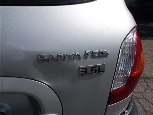 Hyundai Santa Fe 2004 photo 5