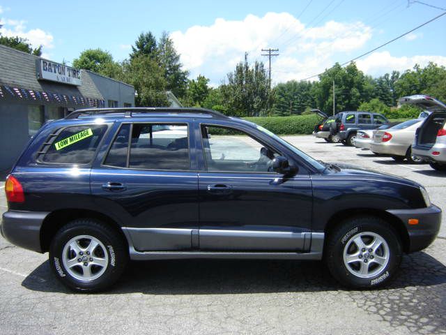 Hyundai Santa Fe 2004 photo 1