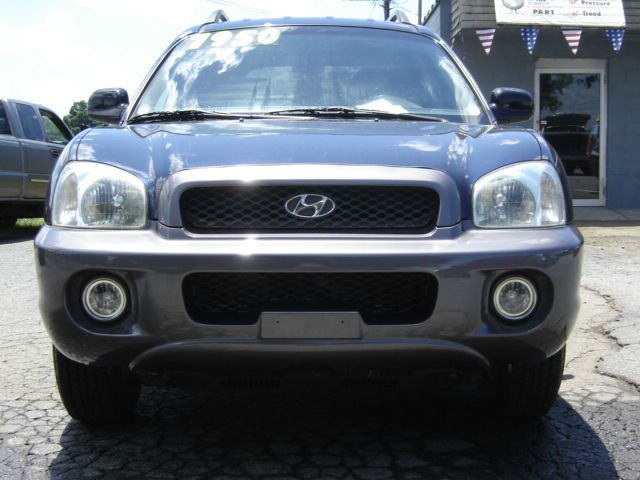 Hyundai Santa Fe 2004 photo 3
