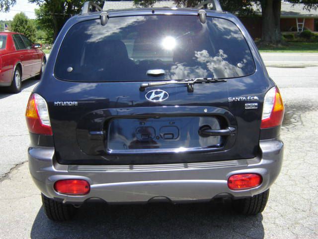Hyundai Santa Fe 2004 photo 4
