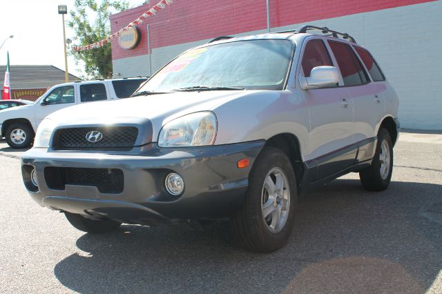 Hyundai Santa Fe 2004 photo 1