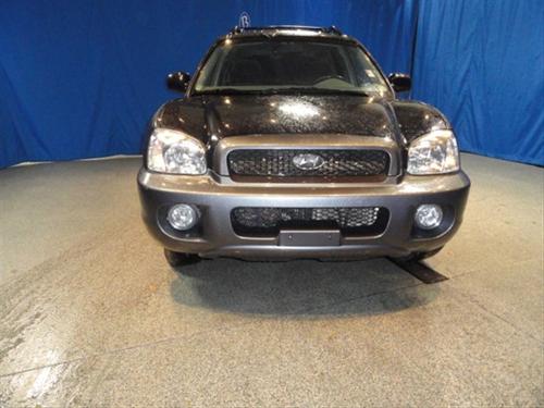 Hyundai Santa Fe 2004 photo 1