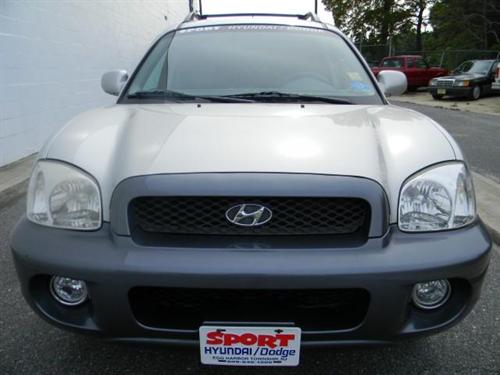 Hyundai Santa Fe 2004 photo 1