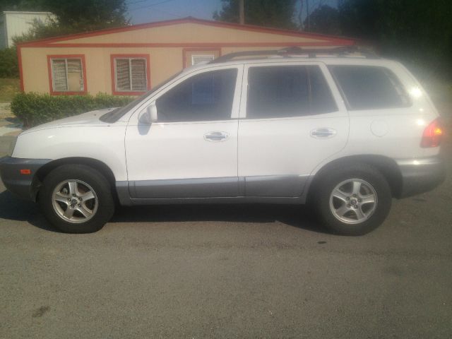 Hyundai Santa Fe 2004 photo 1