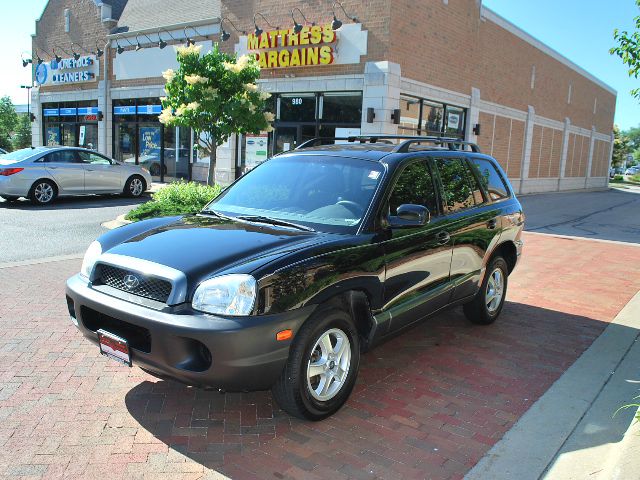 Hyundai Santa Fe 2004 photo 4