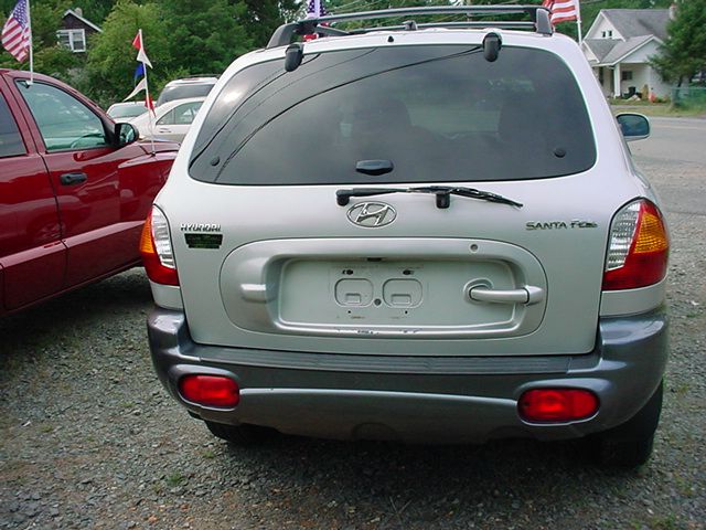 Hyundai Santa Fe 2004 photo 1