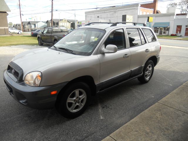 Hyundai Santa Fe 2004 photo 3
