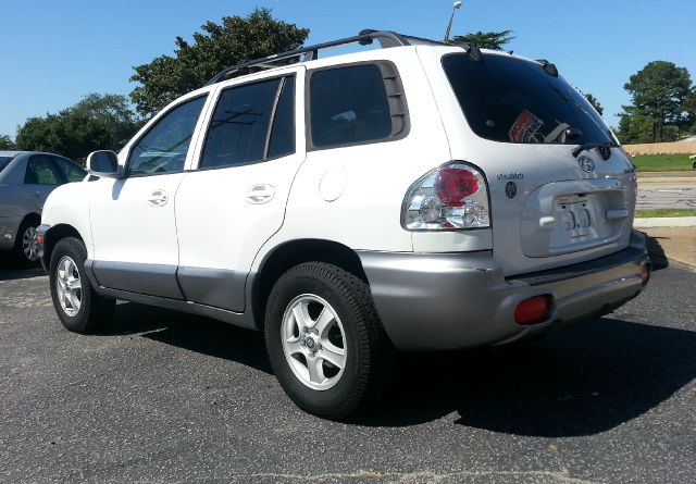Hyundai Santa Fe 2004 photo 1