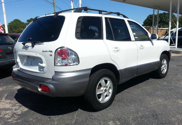 Hyundai Santa Fe 2004 photo 2