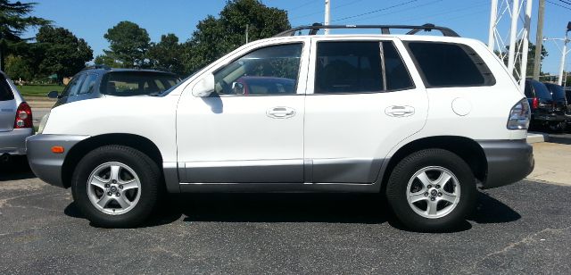 Hyundai Santa Fe 2004 photo 3