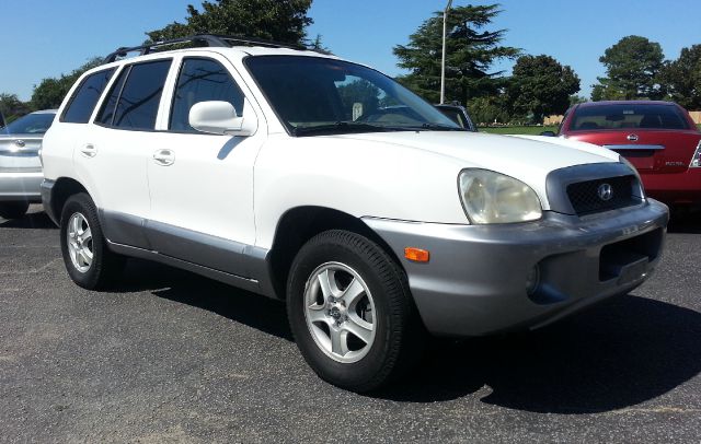 Hyundai Santa Fe 2004 photo 4