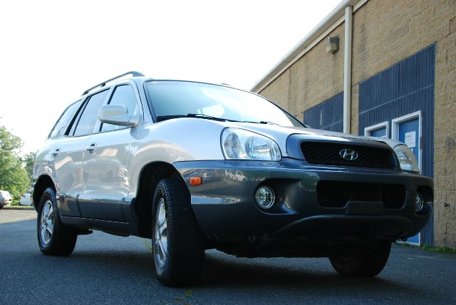 Hyundai Santa Fe 2004 photo 1