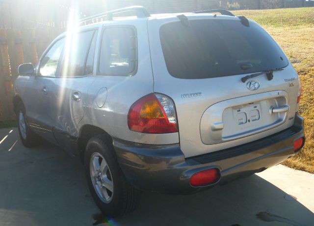 Hyundai Santa Fe 2004 photo 1