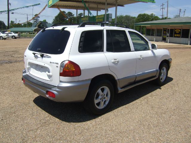 Hyundai Santa Fe 2004 photo 3