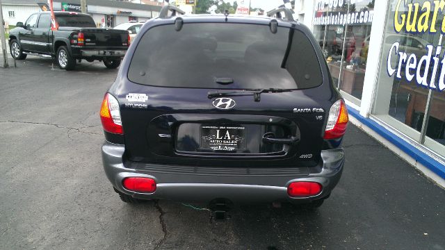 Hyundai Santa Fe 2004 photo 2