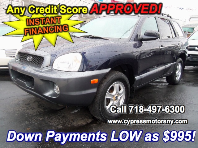 Hyundai Santa Fe 2004 photo 1