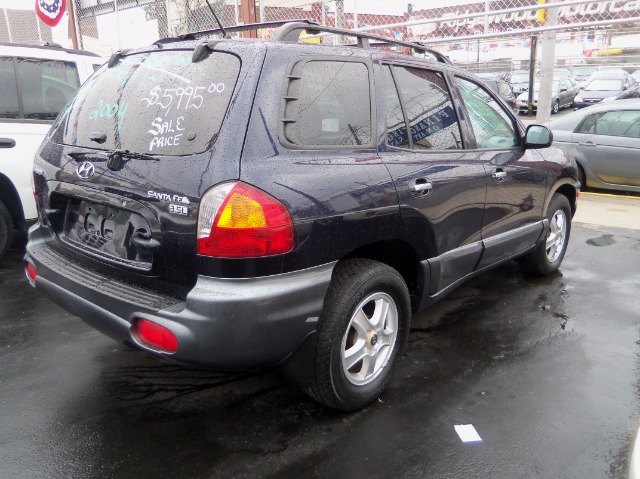 Hyundai Santa Fe 2004 photo 2