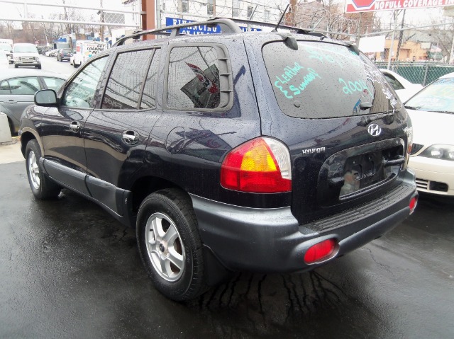 Hyundai Santa Fe 2004 photo 4