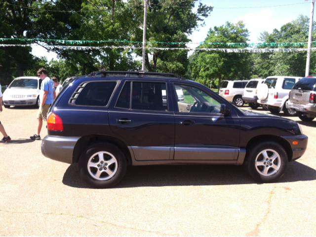 Hyundai Santa Fe 2004 photo 1