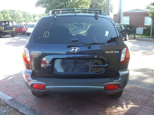 Hyundai Santa Fe 2004 photo 2