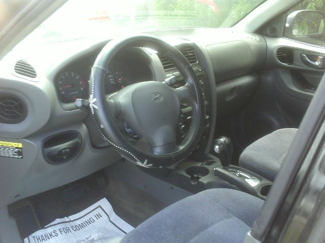 Hyundai Santa Fe 2004 photo 1