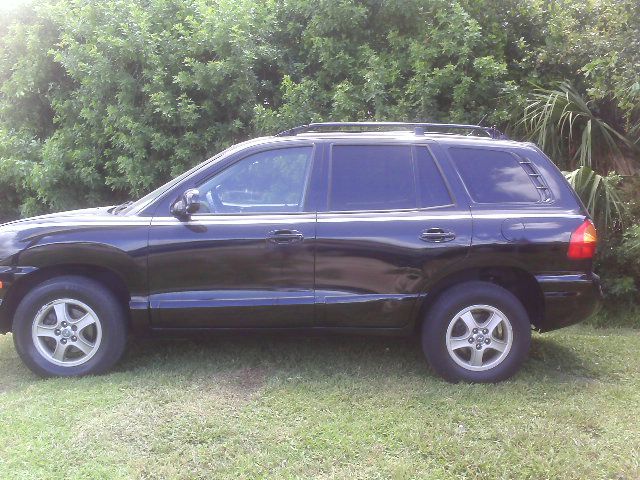 Hyundai Santa Fe 2004 photo 2