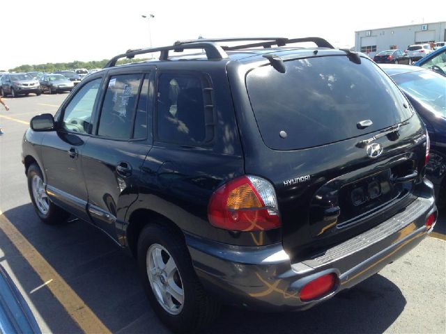 Hyundai Santa Fe 2004 photo 4