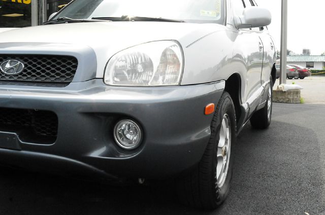 Hyundai Santa Fe 2004 photo 4
