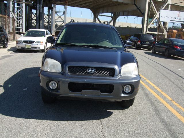 Hyundai Santa Fe 2004 photo 2