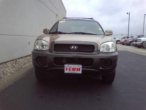 Hyundai Santa Fe 2004 photo 5